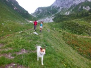 87 sul sentiero 115 scendiamo la Val Terzera...